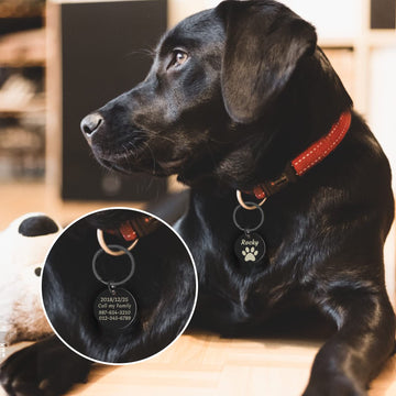 Médaille d’identification pour chat ou chien avec QR code – Sécurité et style