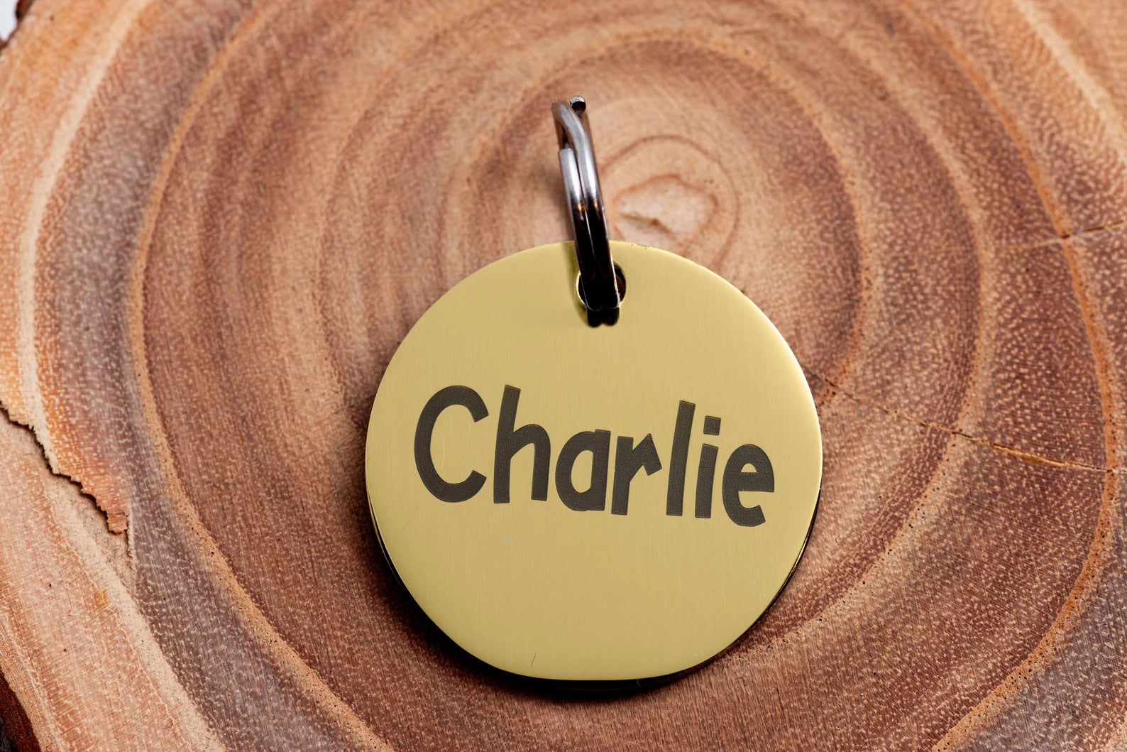 Médaille d’identification pour chat ou chien avec QR code – Sécurité et style